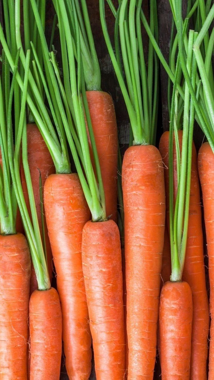 Fresh Carrots